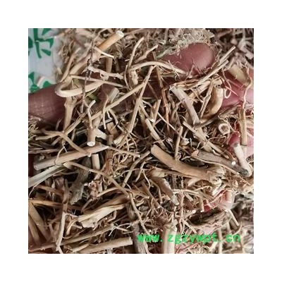 瑞森药材行净货白前 新货颜色好 产地直销