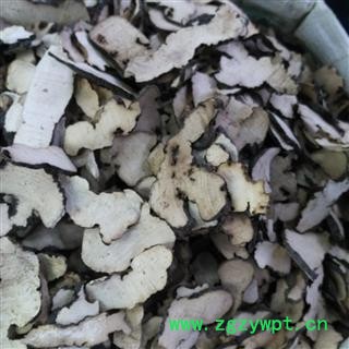 猪苓 甘肃野生猪苓过0.2筛子 产地 甘肃省图2