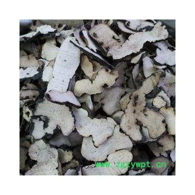 猪苓 甘肃野生猪苓过0.2筛子 产地 甘肃省