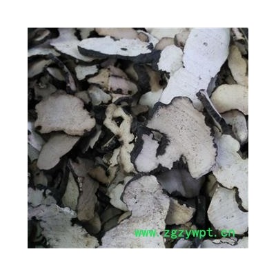 猪苓 选货 甘肃野生 产地 甘肃省