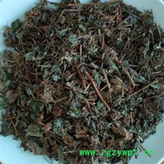 瑞森药材行雾水葛 新晒雾水葛草 糯米草 地消散 脓见消图2