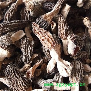 羊肚菌 统货 野生羊肚菌 产地 安徽省图2