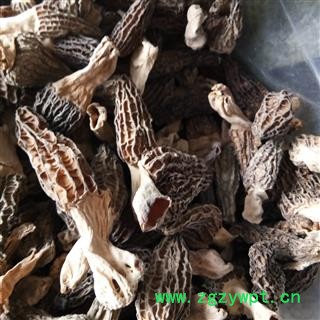 羊肚菌 统货 野生羊肚菌 产地 安徽省图3