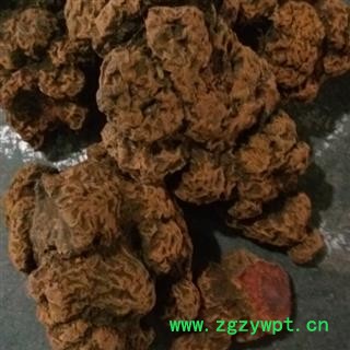瑞森药材行中药材 朱砂莲 辟虺雷 辟蛇 透水雷 朱砂连图2