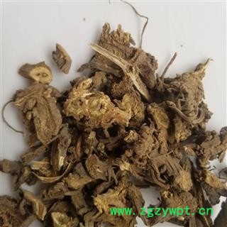 藁本 辽藁本图2