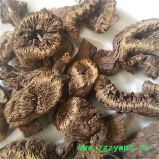 禹州漏芦 漏芦 漏芦统片图3