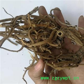 瑞森药材行大蓟根今年新货大蓟根 大蓟根 实物拍照图4