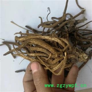 瑞森药材行大蓟根今年新货大蓟根 大蓟根 实物拍照图3