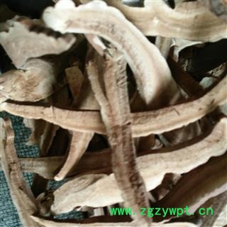 灵芝 统货 产地 山东省图2