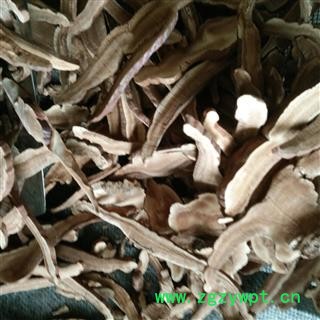 灵芝 统货 产地 山东省图3