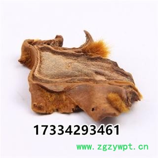 狗脊  中药材 金毛狗脊 干货 烫狗脊图4