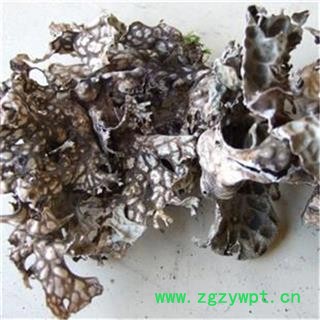 芝春堂 正品 老龙皮 老龙七 石龙皮 网肺衣 石花 各种冷背药材大全图3