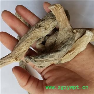 瑞森药材行中药材  芭蕉根 芭蕉头 芭蕉 巴且 天苴 绿天 扇仙图3
