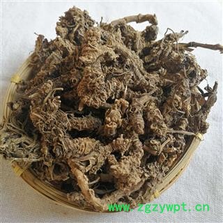 瑞森药材行缬草无毛光缬草拔地麻 蜘蛛香 小救驾 鹿子草 臭草 货真价实 产地 贵州省图3