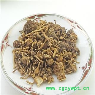 瑞森药材行 扣子七  珠儿参 纽扣子图2