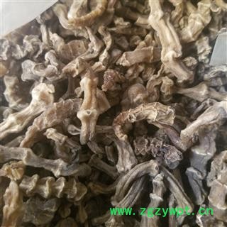 地参 竹根七 竹节参  统 产地 陕西省图2