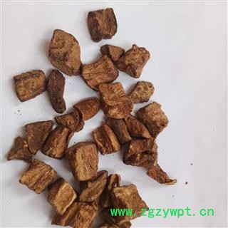 诺源药材行中药材菊苣根茶 菊苣丝 菊苣片 菊苣茶图2