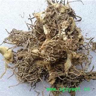 诺源药材行中药材正品冷背中药材韭菜根 山韭菜  起阳草图2