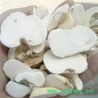 诺源药材行浙贝母 大贝片 象贝 抓药打粉图2
