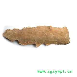 圣草康园白耙齿菌长白山白耙齿菌白耙齿菌图2