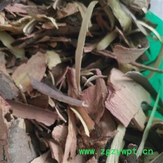 诺源药材行枣树根 枣根  枣树根皮图3