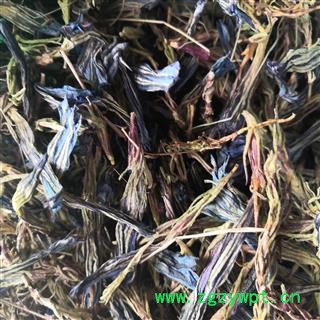 诺源药材行中药材龙胆  龙胆花  虞美人玉美人图3
