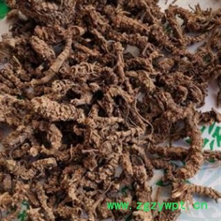 诺源药材行优质缬草 光缬草 蜘蛛香 臭草图2