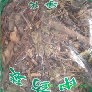 诺源药材行优质缬草 光缬草 蜘蛛香 臭草图4