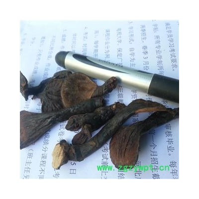 圣草康园西藏紫灵芝