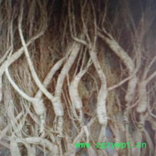 诺源药材行长白山特产人参 林下参 移山参 干参 生嗮图2