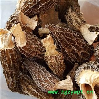 吉康药业羊肚菌 正宗西藏 羊肚菌 大个 去梗图2