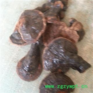 吉康药业云南反柄紫芝 马蹄灵芝 紫灵芝品质保证七天无条件退换图2