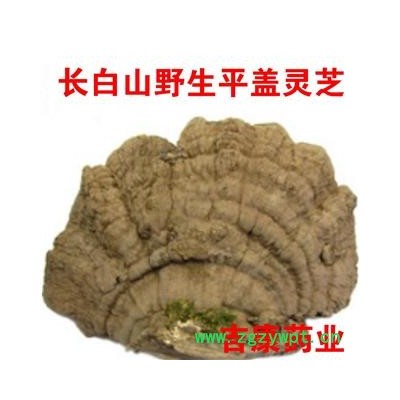长白山 平盖灵芝 无污染 量大从优