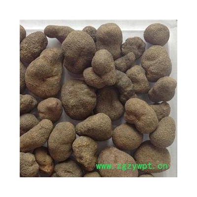 吉康药业雷丸 雷丸