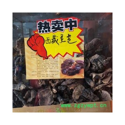 吉康药业灵芝 西藏灵芝