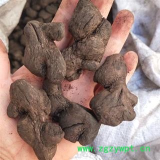 诺源药材行优质炮姜炭 干姜 姜片多种规格齐全图2