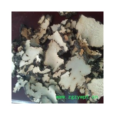 猪苓 好统货 产地 山西省