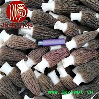 【顺丰包邮】新鲜羊肚菌种植基地发货1公斤起批散装羊肚菌鲜货川蜀山农中药材批发图4