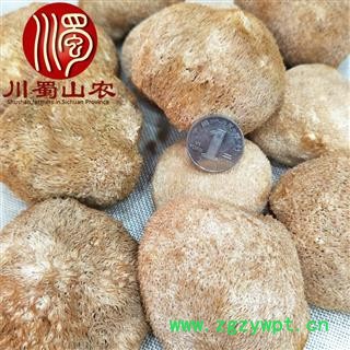 猴头菇个子选货散装1公斤起批产地直供猴头菌川蜀山农中药材批发图3