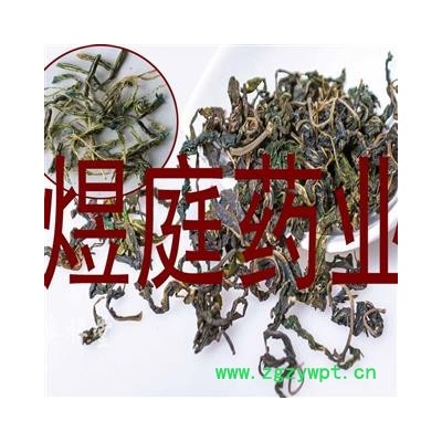 煜庭药业 龙胆花 虞美人 玉美人 正品