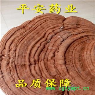 树舌 【品质保证 卓越品质】 产地 黑龙江省 赤色老母菌 白斑腐菌 皂角菌 扁木灵芝 扁芝图2