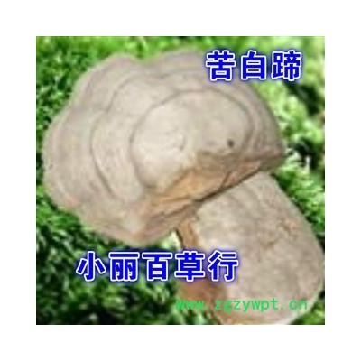小丽百草行中药材苦白蹄   玉芝、阿里红、落叶松茸、药用层孔菌