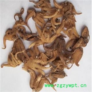 煜庭药业 手掌参 佛手参 掌参、手儿参、阴阳参 藏三七图2