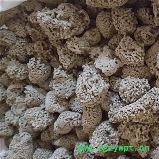 小丽百草行中药材海石花 石花 海浮石花 矿石大全图2