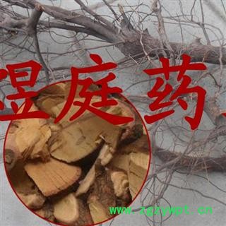 煜庭药业 枣树根 枣子根、枣根图2