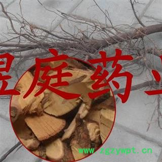 煜庭药业 枣树根 枣子根、枣根图3