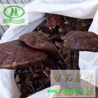 世元药业 灵芝个 正品整个 实物拍摄 赤灵芝图2