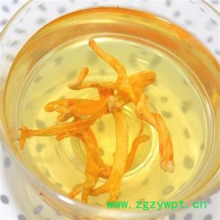 金虫草花 北虫草花 北虫草 1000克图2