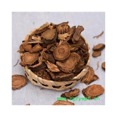 瑞森药材行土大黄 羊蹄根 金不换今年新货量大从优