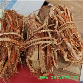 瑞森药材行五指牛奶 五指毛桃 粗叶榕、三龙爪、亚桠、五爪龙、五指牛奶图3